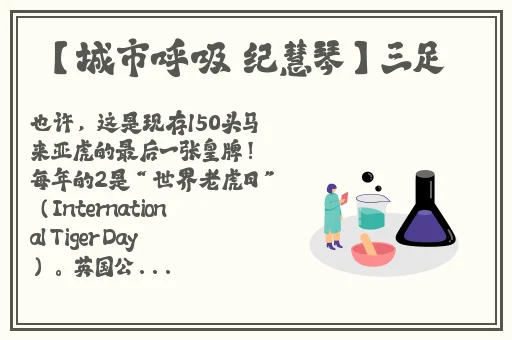 色人格第四色